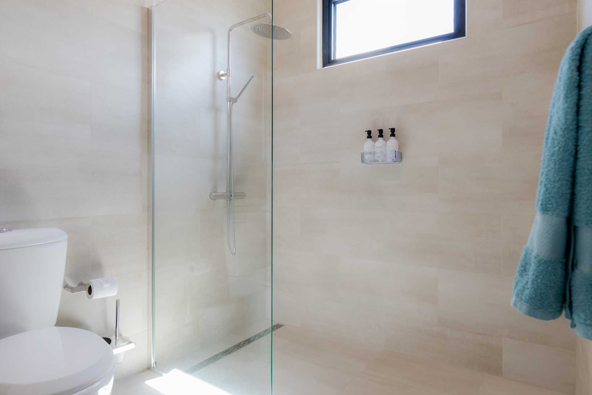 Master ensuite bathroom with a walk-in shower