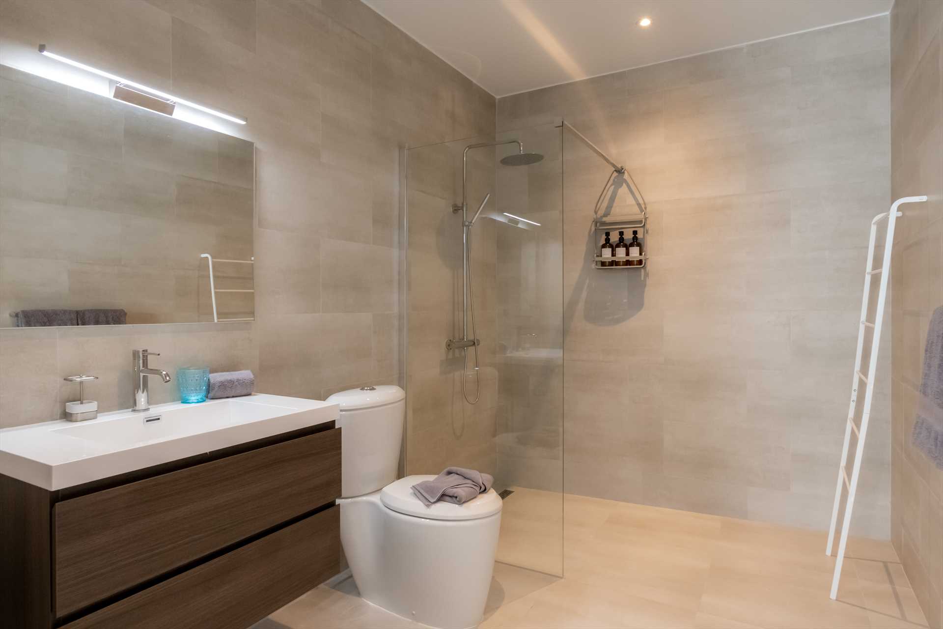 Large bathroom with a walk-in shower (ground floor)