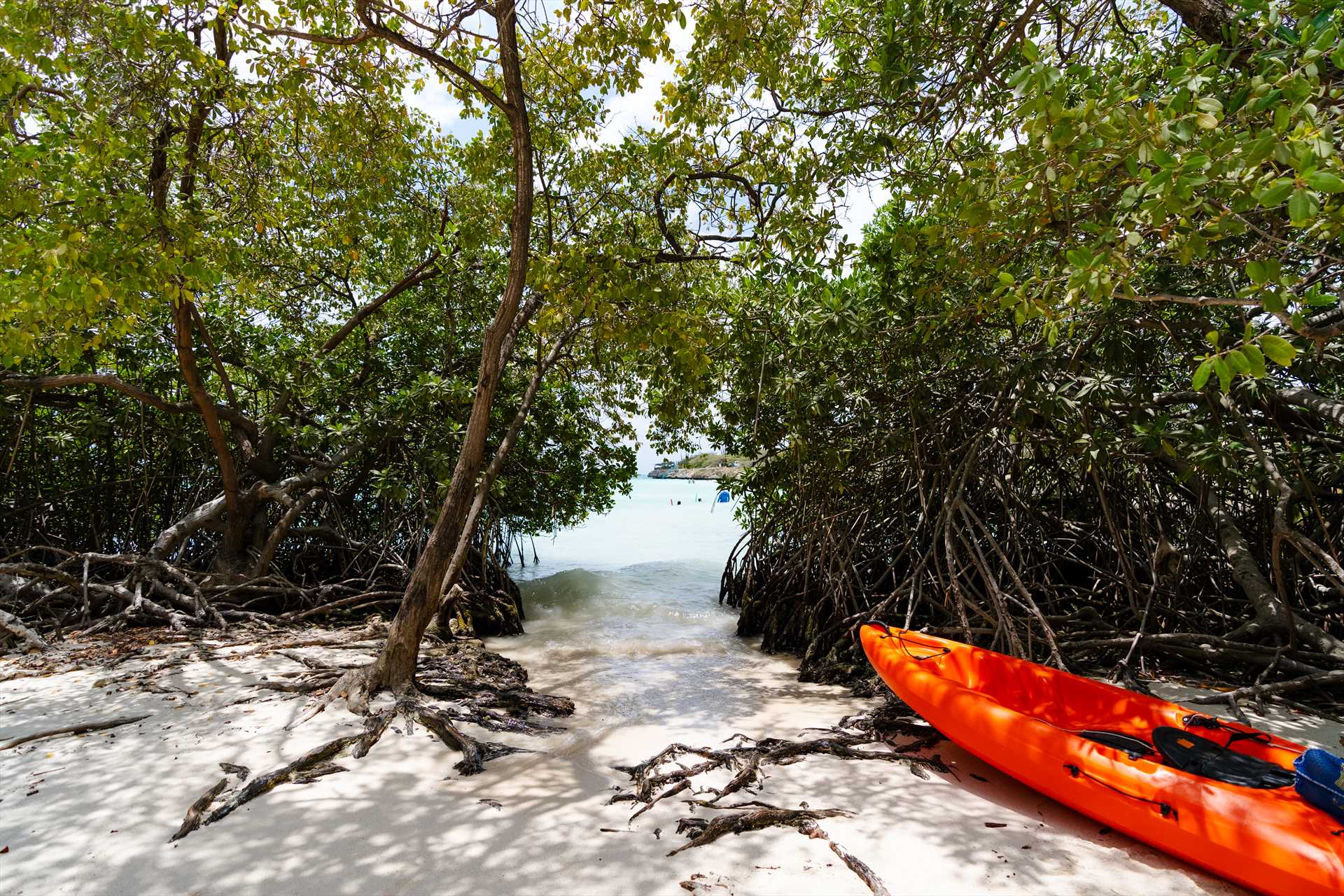 Another access to the ocean via the mangroves
